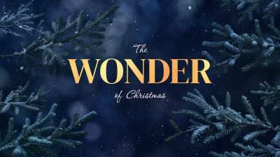 Christmas Wintertide Wonder Still