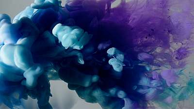 Colorsplash 12 Still