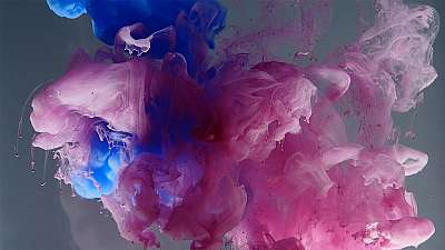 Colorsplash 17 Still