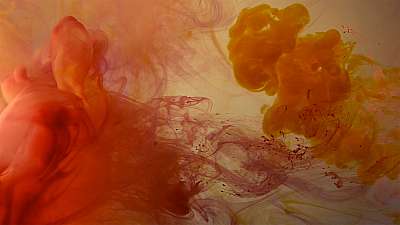 Colorsplash 21 Still