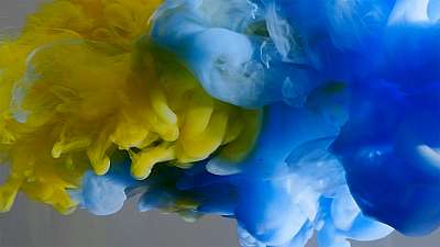 Colorsplash 24 Still