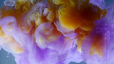 Colorsplash 26 Still