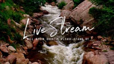 El Dorado Live Stream Still