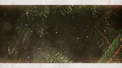 Evergreen 3 Alt Still