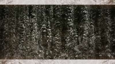 Evergreen 4 Alt Still