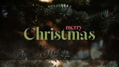 Evergreen Christmas Still