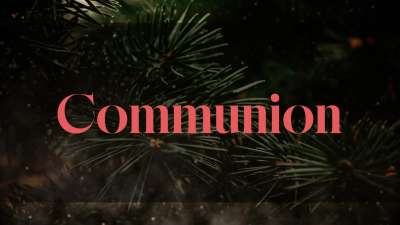 Evergreen Communion Still