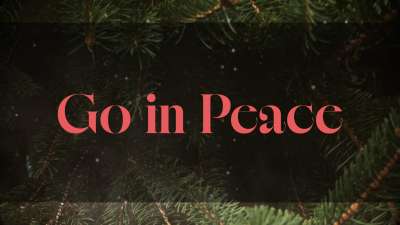 Evergreen Exit Still