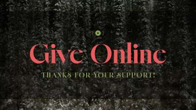 Evergreen Give Stream Still