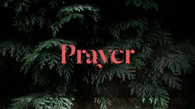 Evergreen Prayer Still