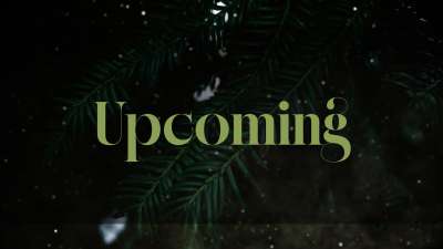 Evergreen Upcoming Still