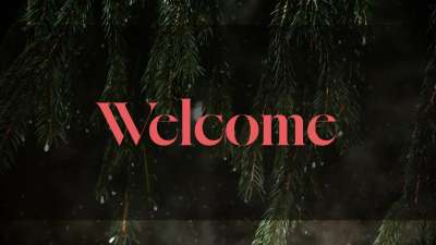 Evergreen Welcome Still