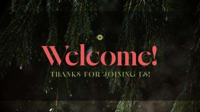 Evergreen Welcome Stream Still
