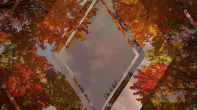 Fall Trees 1 Remix Still