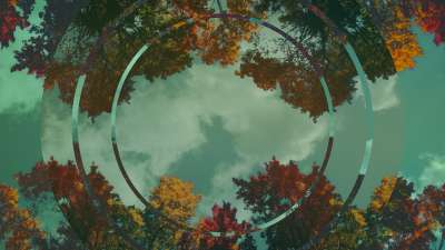 Fall Trees 2 Remix Still