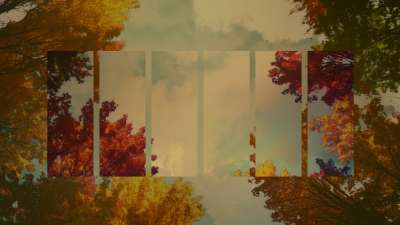 Fall Trees 4 Remix Still