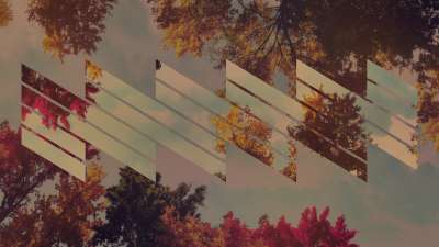 Fall Trees 5 Remix Still