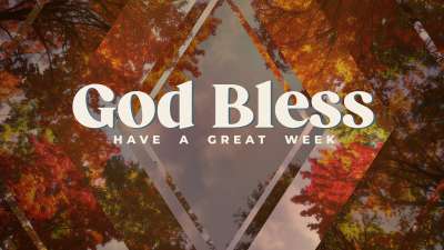 Fall Trees Close Still