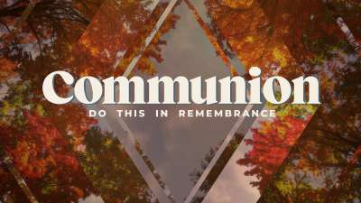 Fall Trees Communion Still