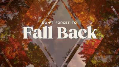 Fall Trees Fall Back Still