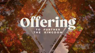 Fall Trees Offering Still