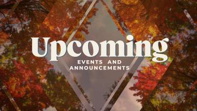 Fall Trees Upcoming Still