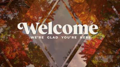 Fall Trees Welcome Still