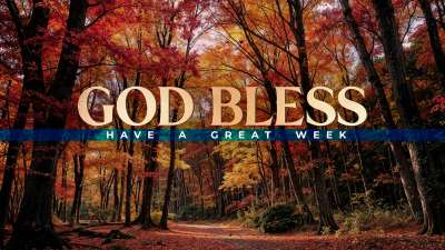 Forest Fall Close Still