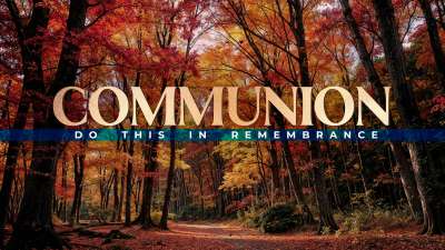 Forest Fall Communion Still