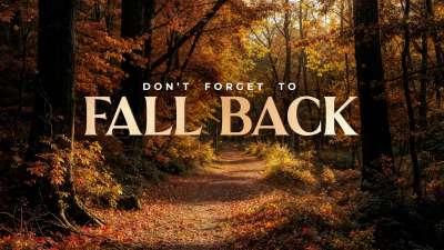 Forest Fall Fall Back Still