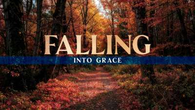 Forest Fall Falling Into Grace Still