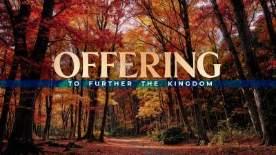 Forest Fall Offering Still