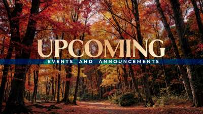 Forest Fall Upcoming Still