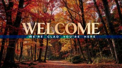 Forest Fall Welcome Still