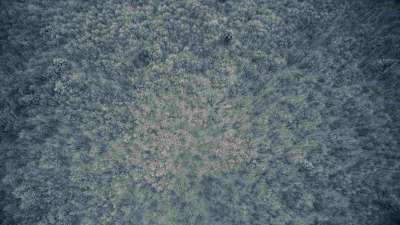 Glorious Winter 13 Still