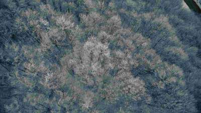 Glorious Winter 15 Still