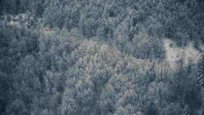 Glorious Winter 16 Still