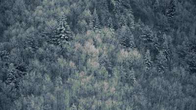 Glorious Winter 17 Still