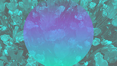 Kaleida Spring Flowers 02