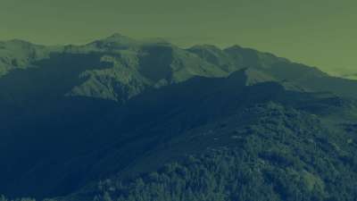 Kiakoura 7 Alt Still