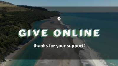 Kiakoura Give Stream Still