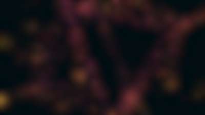 Light Fragments 10 Alt Still