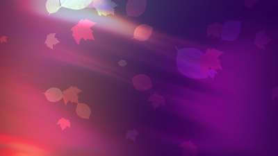 Light Leaves 01 Still