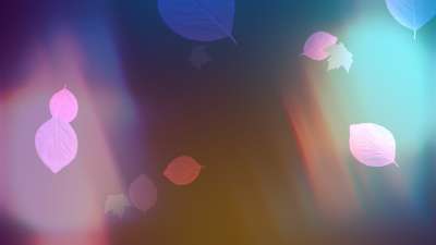 Light Leaves 03 Still