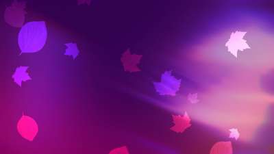 Light Leaves 06 Still