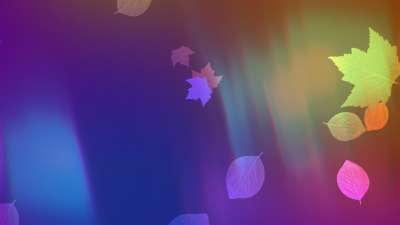 Light Leaves 07 Still