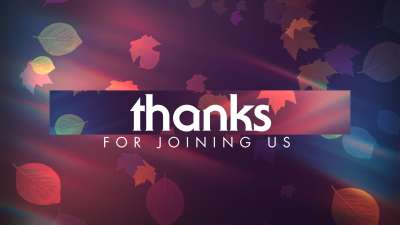 Light Leaves Thanks Still