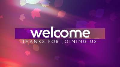 Light Leaves Welcome Still