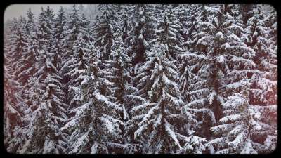 Retro Winter 04 Still