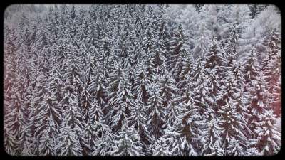 Retro Winter 05 Still